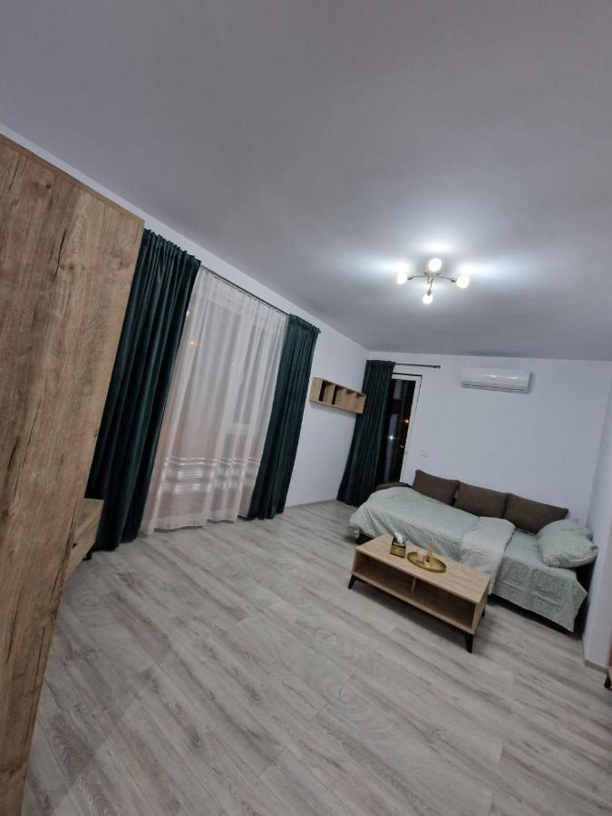 ティミショアラApartament Modern Cu O Cameraアパートメント エクステリア 写真